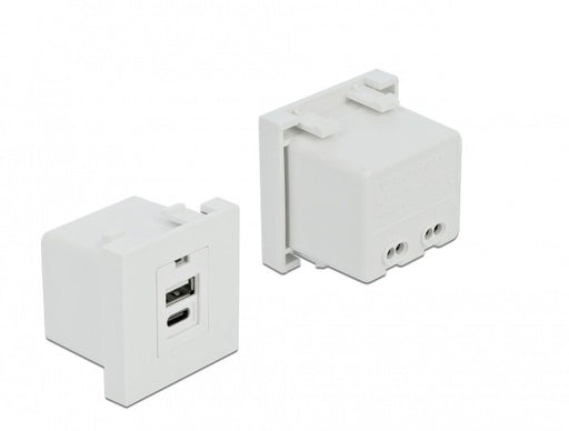 EAN 4043619813131 - DeLOCK 81313 toma de corriente USB A + USB C Blanco imagen 1