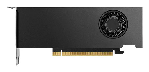 EAN 0810152850046 - Nvidia RTX 2000 Ada 16 GB GDDR6 imagen 1