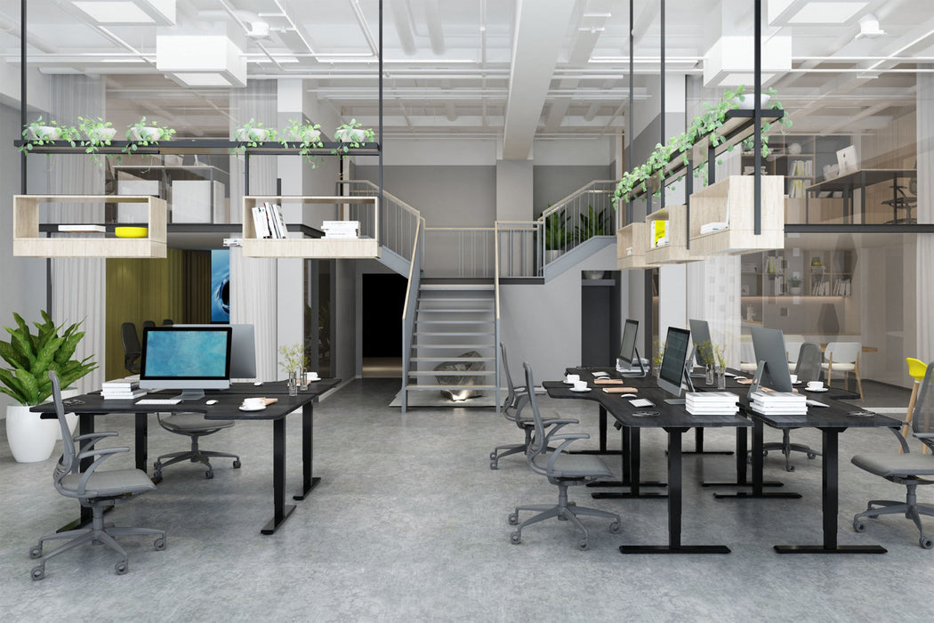 EAN 4016032481997 - Digitus DA-90434 estructura regulable para escritorio 2 pata(s) imagen 5