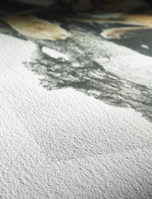 EAN 4011367005665 - Hahnemühle Sample Pack Matt FineArt Textured Arte de papel 10 hojas imagen 4