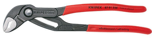EAN 4003773022022 - Knipex 87 01 250 alicate Alicate machihembrado imagen 1