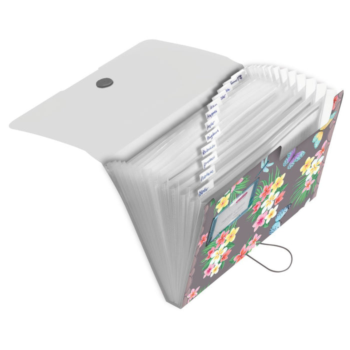 EAN 4008110363295 - Herlitz 50044023 separador Multicolor Polipropileno (PP) A4 imagen 1