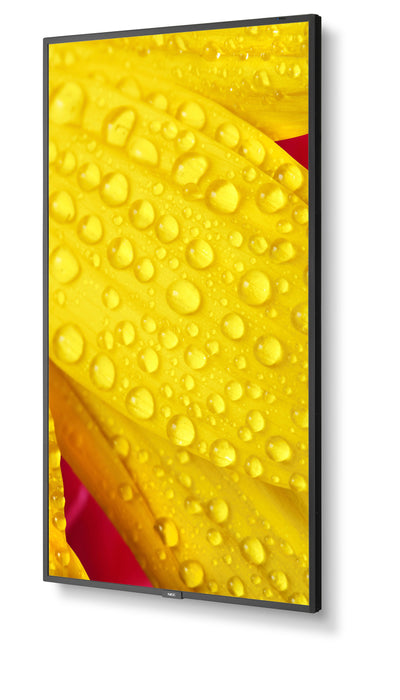 EAN 5028695127470 - NEC MultiSync M501-2 Diseño de quiosco 127 cm (50") LED 4K Ultra HD Negro Procesador incorporado imagen 10