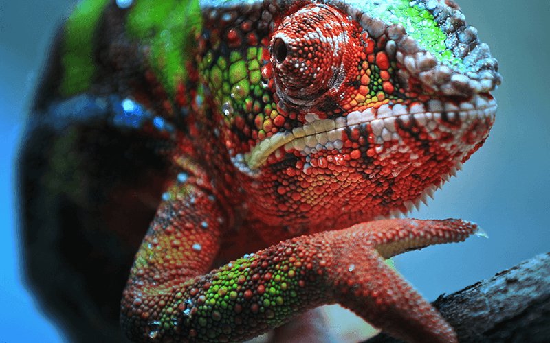 EAN 8715946670843 - Epson EH-TW7100 imagen 9