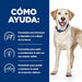 EAN 0052742041728 - Hills 605841 alimento húmedo para perros Ternera Universal 4 kg imagen 3