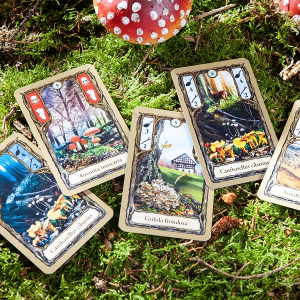 EAN 4250231705076 - Pegasus Spiele Fungi Juego De Cartas Simulación imagen 6