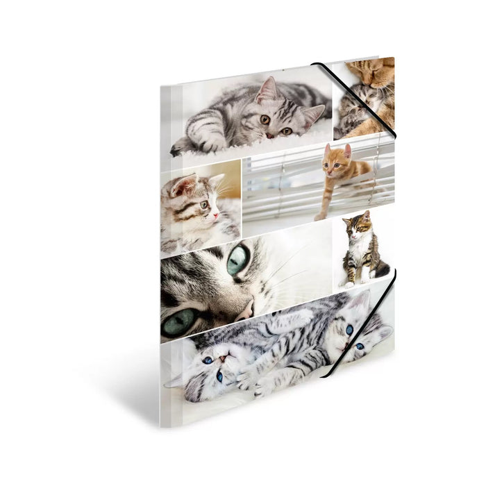 EAN 4008705192194 - HERMA 19219 carpeta Cartón Multicolor A3 imagen 2