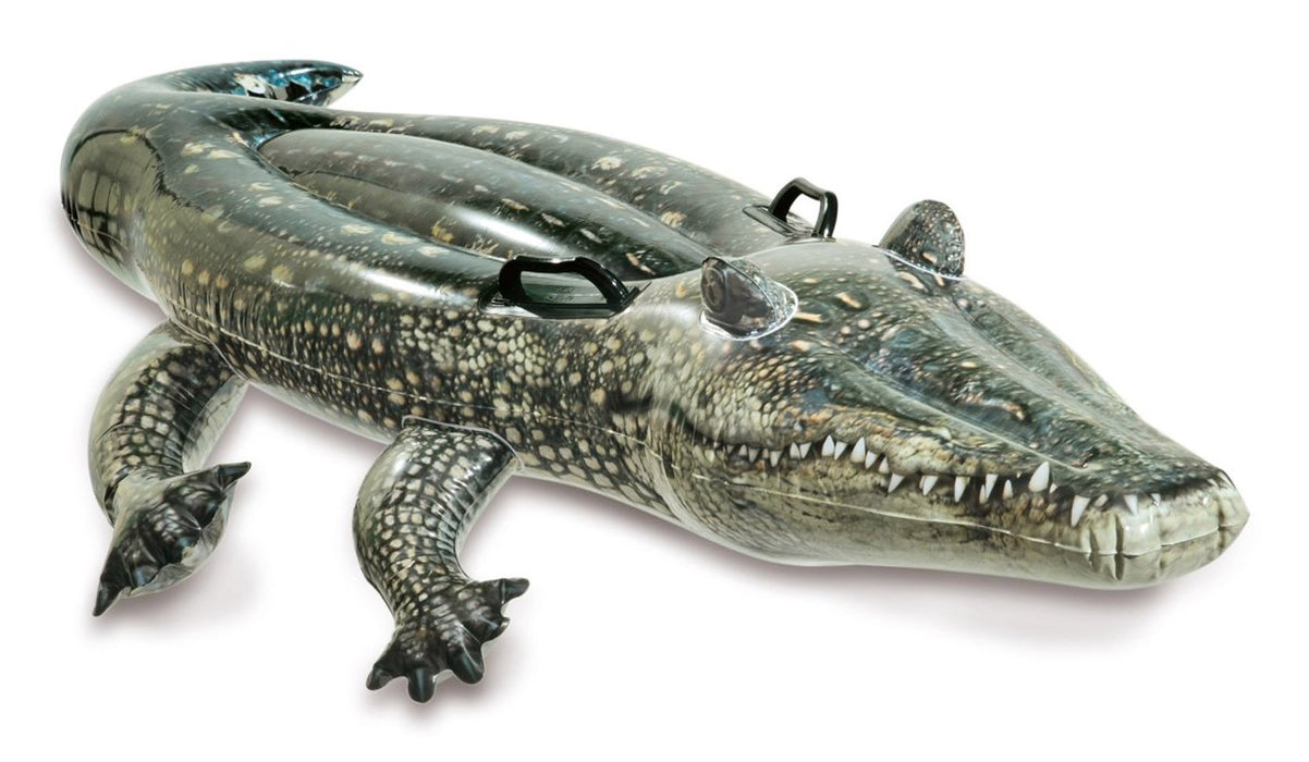 EAN 6941057402987 - Intex 57551NP flotador para piscina y playa Verde Imagen Vinilo Colchoneta imagen 1