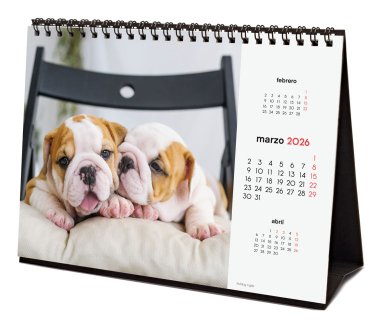 EAN 8422952402275 - Finocam 780323726 calendario Mesa imagen 5