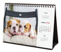 EAN 8422952402275 - Finocam 780323726 calendario Mesa imagen 5