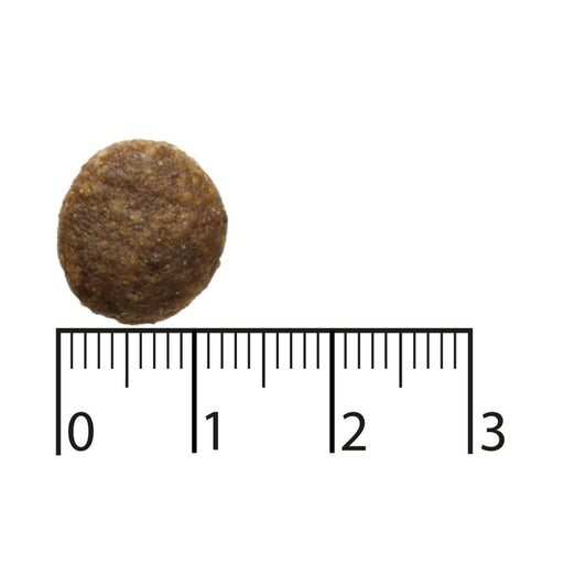 EAN 7311030450714 - Bozita 9117388 comida seca para perros 2,5 kg Adulto Reno imagen 2