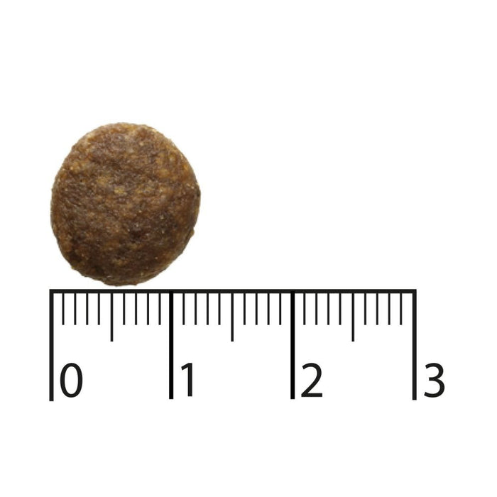 EAN 7311030450714 - Bozita 9117388 comida seca para perros 2,5 kg Adulto Reno imagen 2