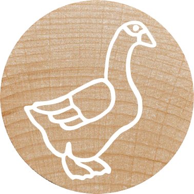 EAN 9004362534488 - Colop 165225 imagen 7