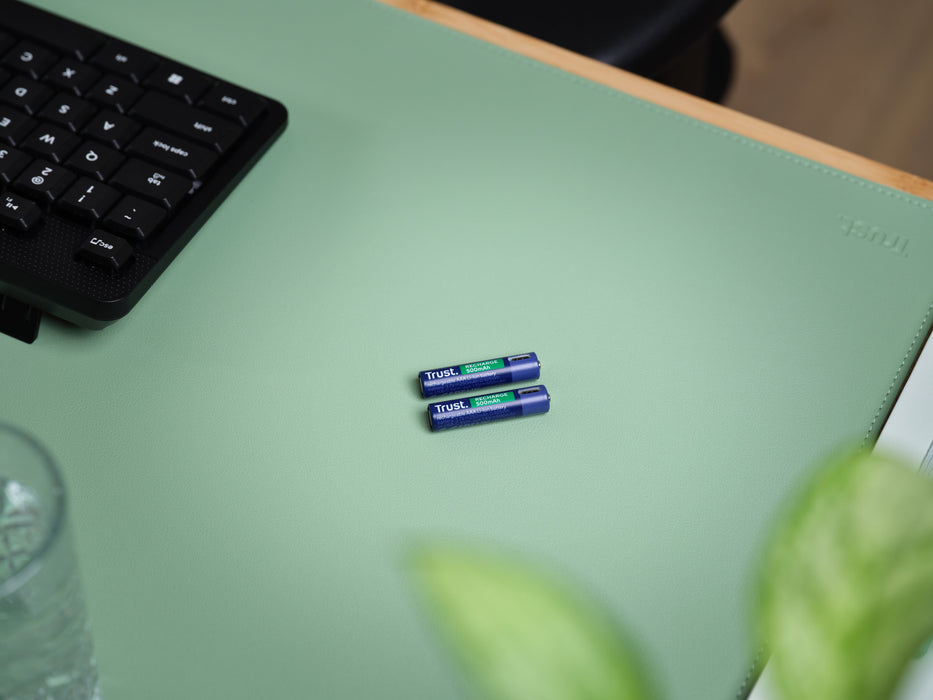 EAN 8713439255850 - Trust 25585 pila doméstica Batería recargable AAA imagen 7