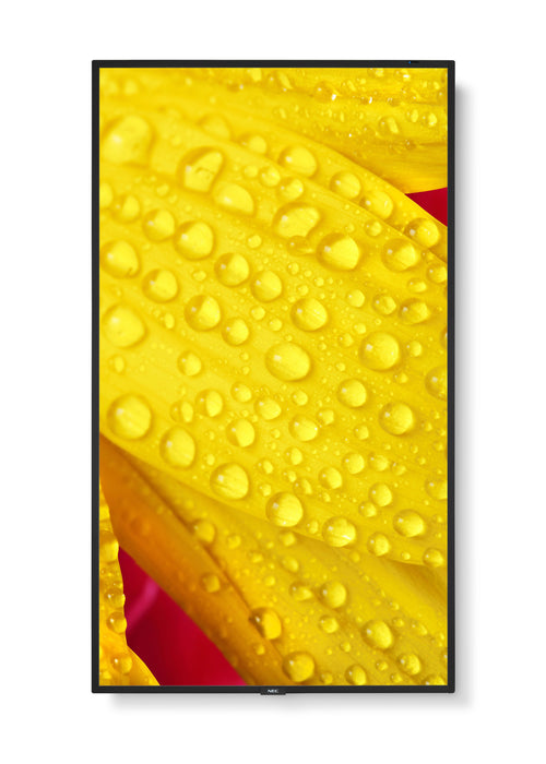EAN 5028695127470 - NEC MultiSync M501-2 Diseño de quiosco 127 cm (50") LED 4K Ultra HD Negro Procesador incorporado imagen 8