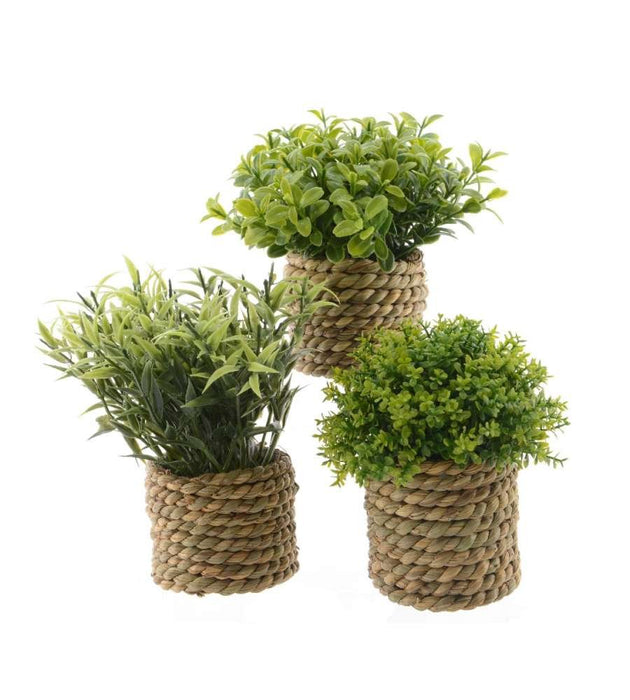 EAN 8718533571585 - Kaemingk 000993380 no categorizado imagen 1