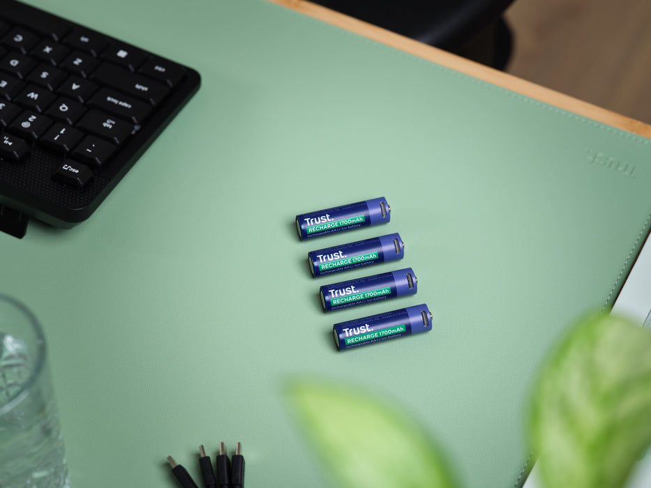 EAN 8713439256314 - Trust 25631 pila doméstica Batería recargable AA imagen 7