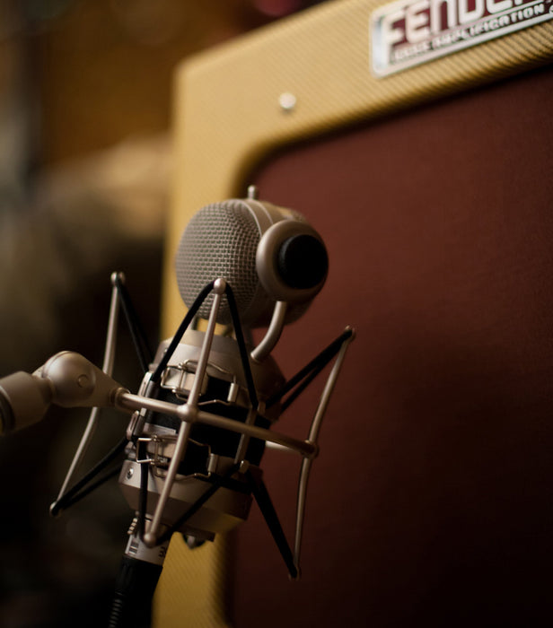 EAN 5099206084872 - Blue Microphones mouse Negro Micrófono de estudio imagen 10