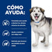 EAN 52742037394 - Hills 605852 alimento húmedo para perros Ternera Universal 12 kg imagen 3