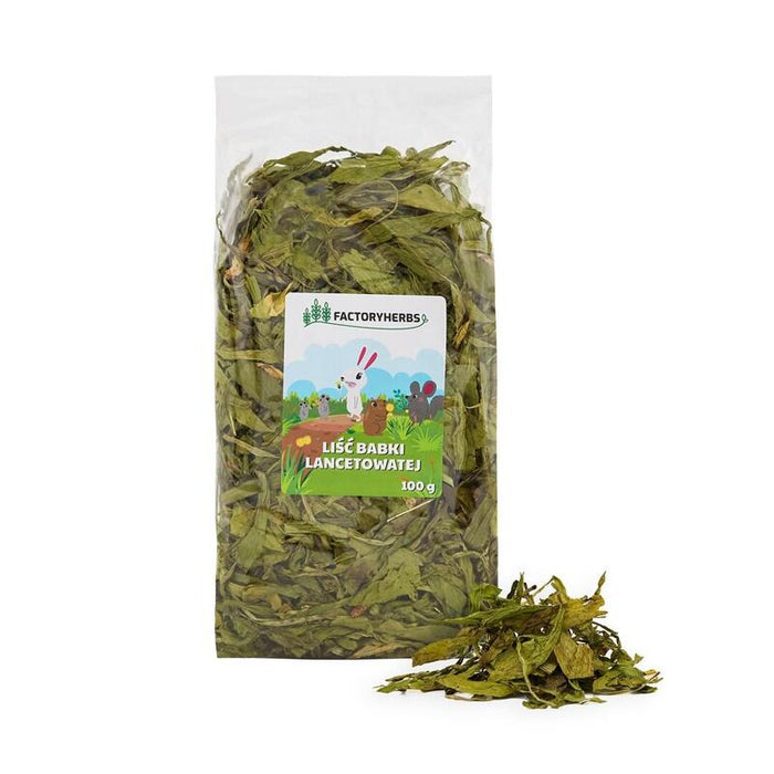 Factory Herbs Ribwort Plantain Leaves - Golosina Para Roedores Y Conejos - 100g