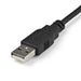 EAN 0065030861113 - StarTech.com MSTMDP122DP divisor de video Mini DisplayPort 2x DisplayPort imagen 4