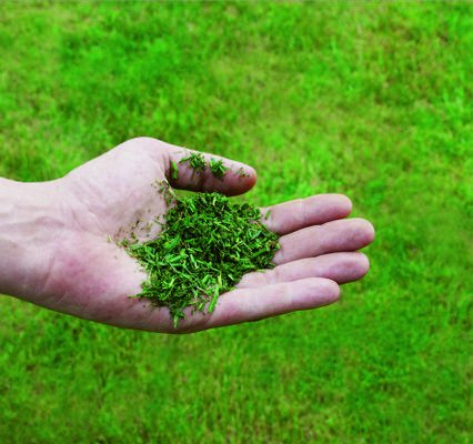 EAN 4006825655285 - Einhell GC-PM 51/3 S HW-E Cortacésped de empuje a gasolina Gasolina Negro, Rojo imagen 2