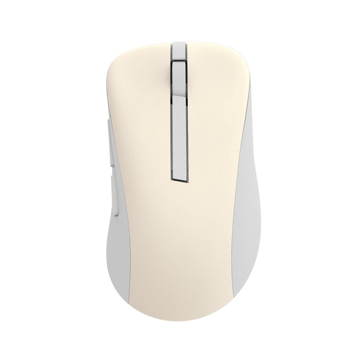 EAN 0197105537606 - ASUS Wireless Mouse MD102 ratón Universal mano derecha RF Wireless + Bluetooth Óptico 1600 DPI imagen 1