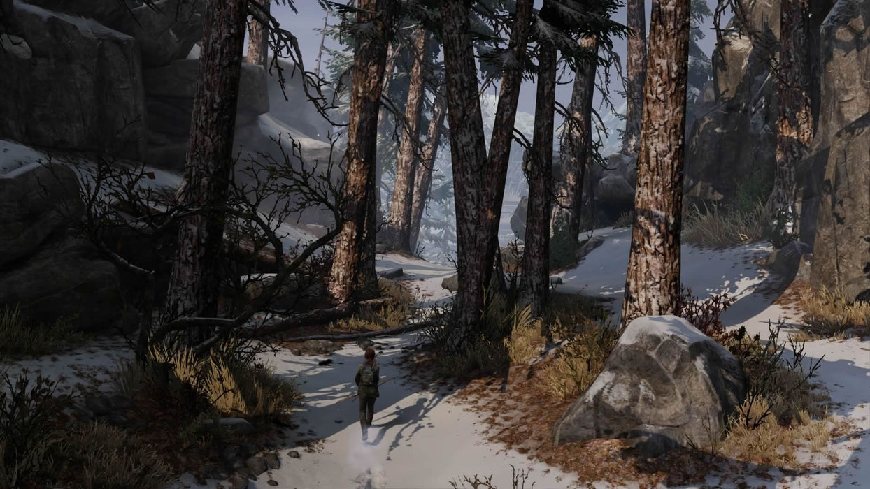 EAN 0711719411475 - Sony The Last of Us Remastered, PS4 Remasterizada Inglés, Italiano PlayStation 4 imagen 8