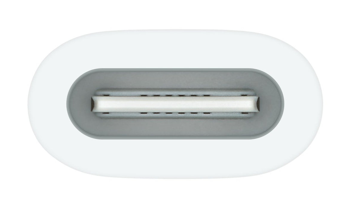 EAN 0195949442148 - Apple USB-C to Pencil Adapter Blanco 1 pieza(s) imagen 2
