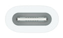 EAN 0195949442148 - Apple USB-C to Pencil Adapter Blanco 1 pieza(s) imagen 2