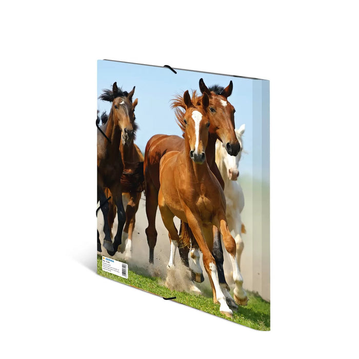 EAN 4008705071406 - HERMA 7140 carpeta Polipropileno (PP) Multicolor A4 imagen 3