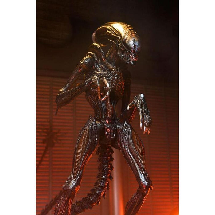 Figura Ultimate Scorched Xenomorph Scale Action Fig. 23 Cm Alien: Romulus