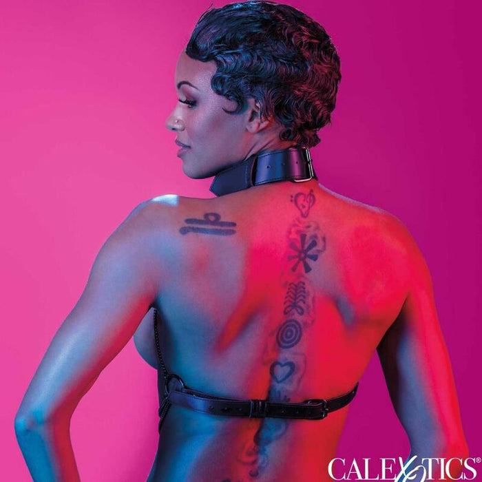 Calexotics - Euphoria Arnés De Cuello De Cadena