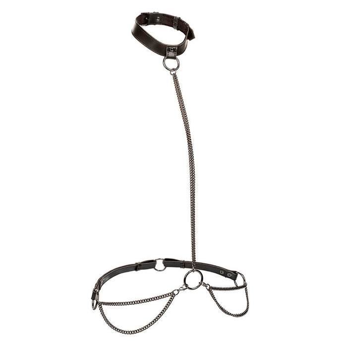 Calexotics - Euphoria Collar Halter Y Correa Con Cadena