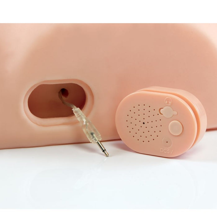 Pdx Male - Interactive Fuck Him Silly Masturbator Interactivo