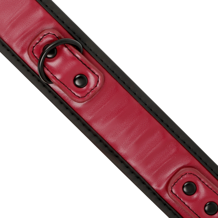 Fetish Submissive Dark Room - Collar Con Cadena Con Forro De Neopreno