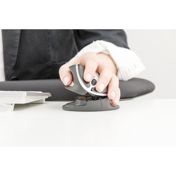 Kenson Oystermouse Wireless Ratón Rf Inalámbrico 1000 Dpi Ambidextro