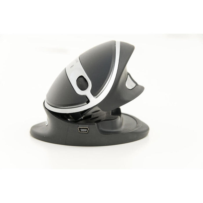 Kenson Oystermouse Wireless Ratón Rf Inalámbrico 1000 Dpi Ambidextro