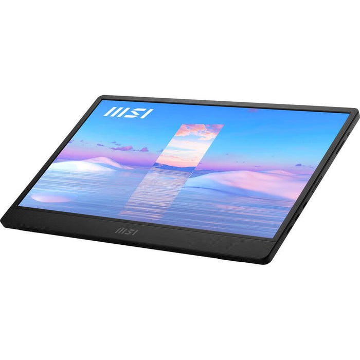 Monitor 15.6  Msi Pro Mp161 Iron Gray 4ms 60hz Fhd Ips Dp 2xusb Hdmi Vesa