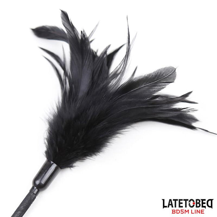 Multi Feathers Tickler And Lace Ribbon Paddle Comb
