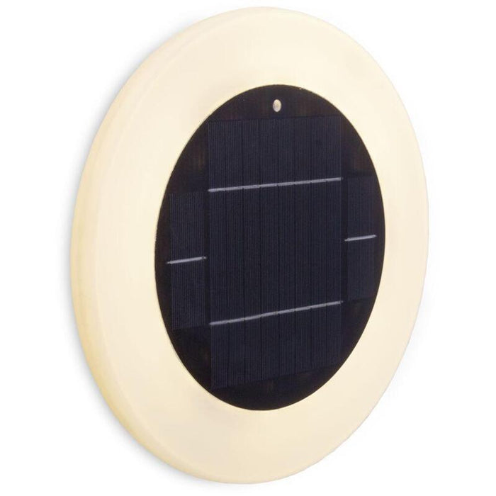 New Garden Papaya 30 Solar