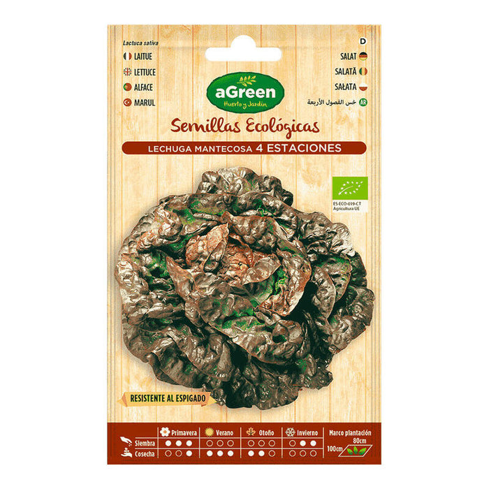 Pack De 10 Unidades - Sobre Con Semillas Eco De Lechuga Cuatro Estaciones Agreen