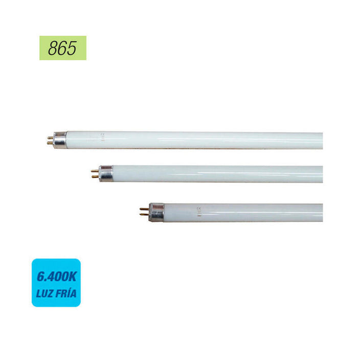 Pack De 10 Unidades - Tubo Fluorescente 4w 6400k Modelo: T5 Luz Fria Edm