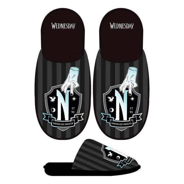 Pack De 12 Unidades - Pantuflas Miercoles Adulto