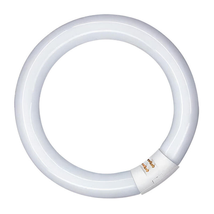 Pack De 2 Unidades - Tubo Fluorescente Circular 40w, G10q, 6500 K Luz Fria Ø400 Mm