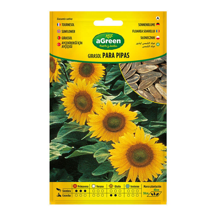 Pack De 5 Unidades - Sobre Con Semillas De Girasol Para Pipas 301024bolsh Agreen