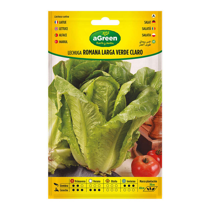Pack De 5 Unidades - Sobre Con Semillas De Lechuga Romana Larga Verde 000440bolsh Agreen