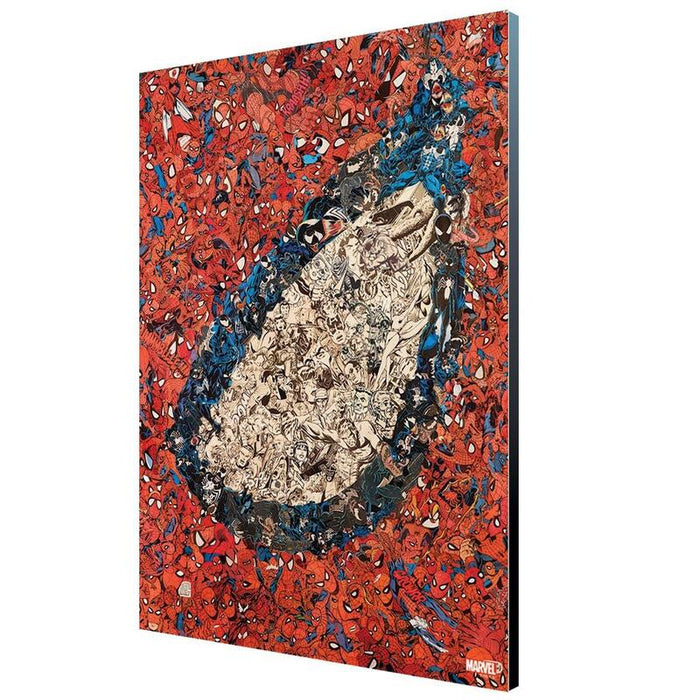 Panel 35x50 Cm Semic Studio Marvel Mythic Cover Art 25 Amazing Spider Man #700 Wood