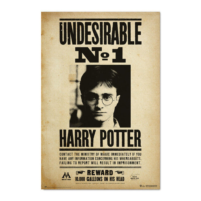 Poster Indeseable Numero 1 Harry Potter