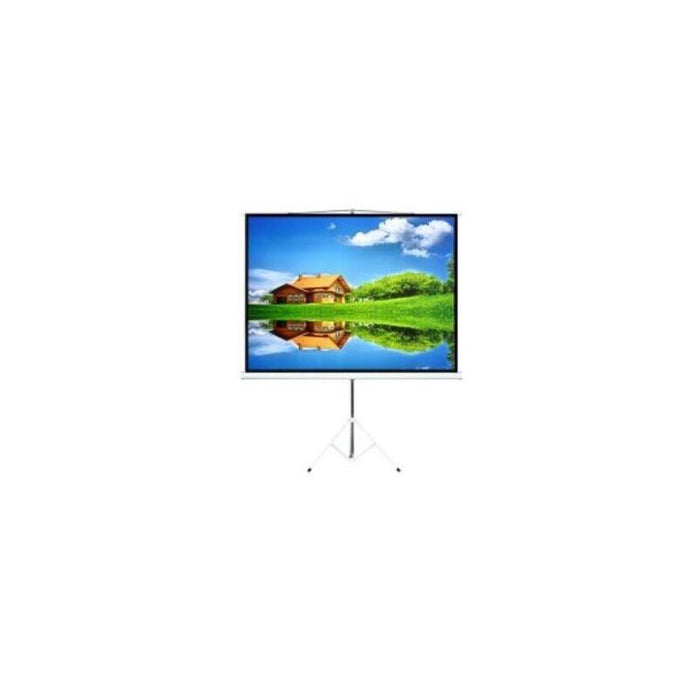 Projector Screen 100''   / Portable/ Fixed / 4:3